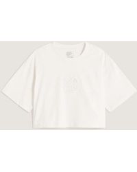 Vans - Ellipse Relax Crop T-Shirt - Lyst