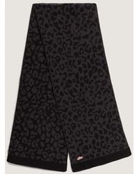Vans - Off The Wall Scarf - Lyst