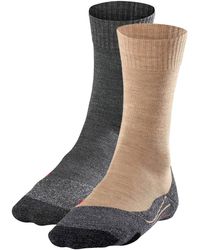 FALKE - Sokken - Lyst