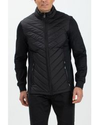 Falcon - Hardy Hardy-B001 - Lyst