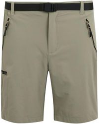 Regatta - Xert Iii Stretch Shorts (Golden) - Lyst