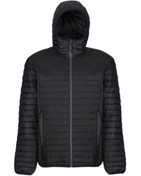 Regatta - Honestly Made Padded Jacket - Lyst