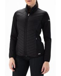 Falcon - Laura Laura-B001 - Lyst