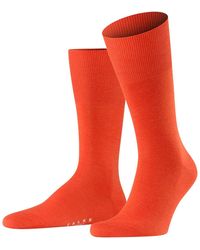 FALKE - Sokken - Lyst