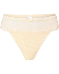 Lingadore - Daily String - Lyst