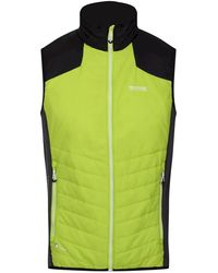 Regatta - Halton Vi Lightweight Body Warmer (Bright Kiwi/ - Lyst