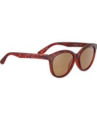 Serengeti - Ss573001-S 56 Endee Sunglasses - Lyst