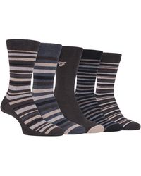Farah - 5 Pack Thin Breathable Classic Striped Patterned Soft Top Cotton Dress Socks - Lyst