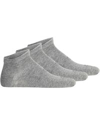 Camel Active - Sokken - Lyst