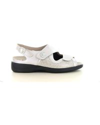 SOLIDUS - 73500 Wijdte H - Lyst