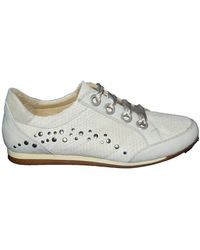 Footnotes - 62.006 Wijdte G - Lyst