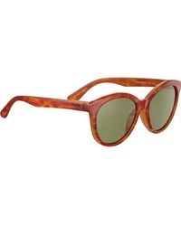 Serengeti - Ss573005-S 56 Endee Sunglasses - Lyst