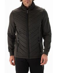 Falcon - Hardy Hardy-B044 - Lyst