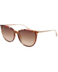 MAX&Co. - Max & Co Braune Plastiksonnenbrille - Lyst