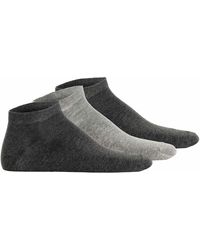 Hudson Jeans - Sokken - Lyst