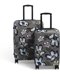 vera bradley luggage sets