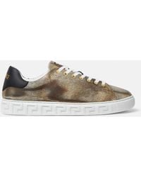 Versace - Greca Sneaker Mit Echsen-Effekt - Lyst
