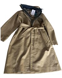 Sandro Trenchs - Natur