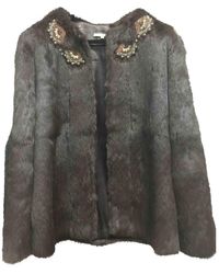 Sandro Kaninchen Mäntel - Braun