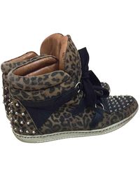 Sandro Black Suede Trainers - Multicolour