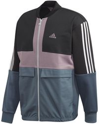 معرض جمهورية مثل الرد بالمثل الأنابيب تنتمي adidas osaka velour -  gallerymaidstone.com