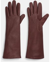 Vince - Cashmere-Lined Medium Leather Glove - Lyst