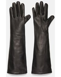 Vince - Cashmere-lined Long Leather Glove, Black, Size M - Lyst