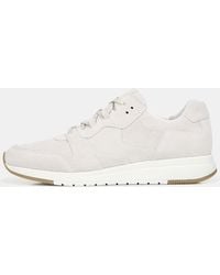 vince penley sneaker