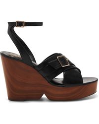 camuto