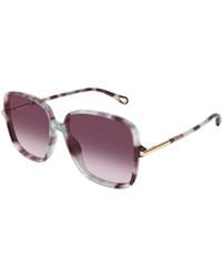 Chloé - Ch0396S 004 Sunglasses Acetate Squared Nuanced - Lyst