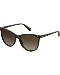 Polaroid - Pld 4066/S 086/La Sunglasses Plastic Squared Polarized - Lyst