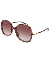 Chloé - Ch0383S 004 Sunglasses Acetate Round - Lyst