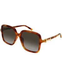 Gucci - Gg2219Sa 002 Sunglasses Acetate Butterfly Nuanced - Lyst