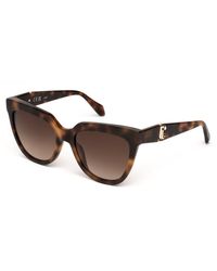 Just Cavalli - Sjc105 09Aj Sunglasses Acetate Butterfly Normal Shaded - Lyst