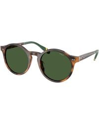 Polo Ralph Lauren - Ph4204U 608971 Sunglasses Acetate Pantos Normal - Lyst