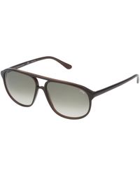 Lozza - Sl1827L Zilo Sport 958L Sunglasses Acetate Pilot Normal Nuanced - Lyst