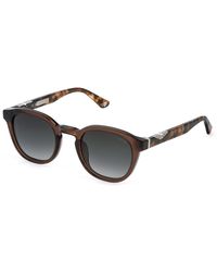 Police - Spll82 Origins 60 0893 Sunglasses Acetate Pantos Normal Nuanced - Lyst