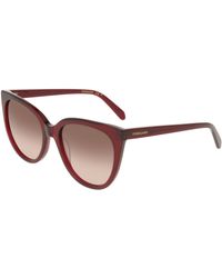 Ferragamo - Sf2101S 655 Sunglasses Acetate Squared Normal - Lyst
