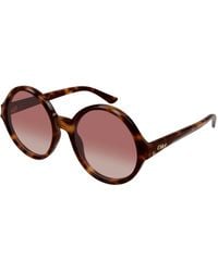 Chloé - Ch0290S 003 Sunglasses Acetate Round - Lyst