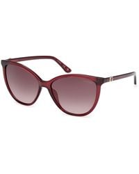 Guess - Gu00256 69F Sunglasses Injected Cat Eye Normal - Lyst