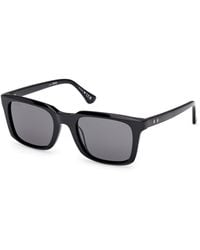 Web - We0388 01A Sunglasses Acetate Smoke Squared Normal - Lyst
