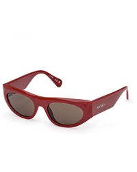 MAX&Co. - Mo0147 66E Sunglasses Injected Cat Eye Normal - Lyst
