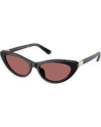 Polo Ralph Lauren - Ph4199U 500169 Sunglasses Acetate Cat Eye Normal - Lyst