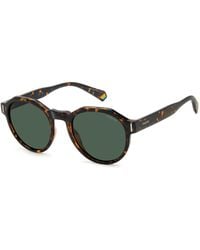 Polaroid - Pld 6207/S 086/Uc Sunglasses Polycarbonate Geometric Polarized - Lyst