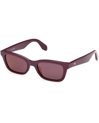 adidas - Or0117 81U Sunglasses Acetate Bordeaux Squared Normal - Lyst