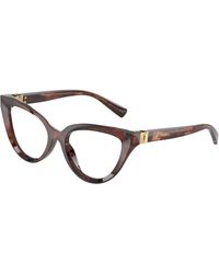Dolce & Gabbana - Dg3414 3222 Optical Frames Acetate Cat Eye Normal - Lyst