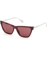 MAX&Co. - Mo0174 54S Sunglasses Injected Bordeaux Cat Eye Normal - Lyst