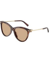 Tiffany & Co. - Tf4258Bu 8421/8 Sunglasses Acetate Pantos Normal - Lyst