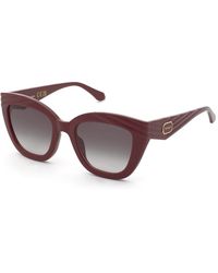 Twinset - Stw100N 08La Sunglasses Injected Butterfly Normal Nuanced - Lyst
