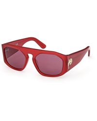 PUCCI - Ep0242 66S Sunglasses Acetate Bordeaux Squared Normal - Lyst